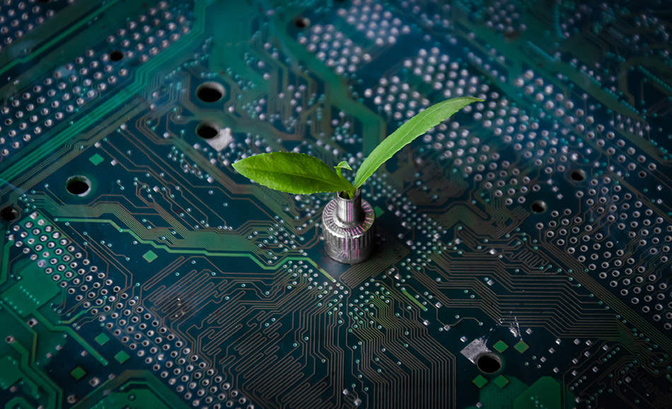 AI helps business protect the environment